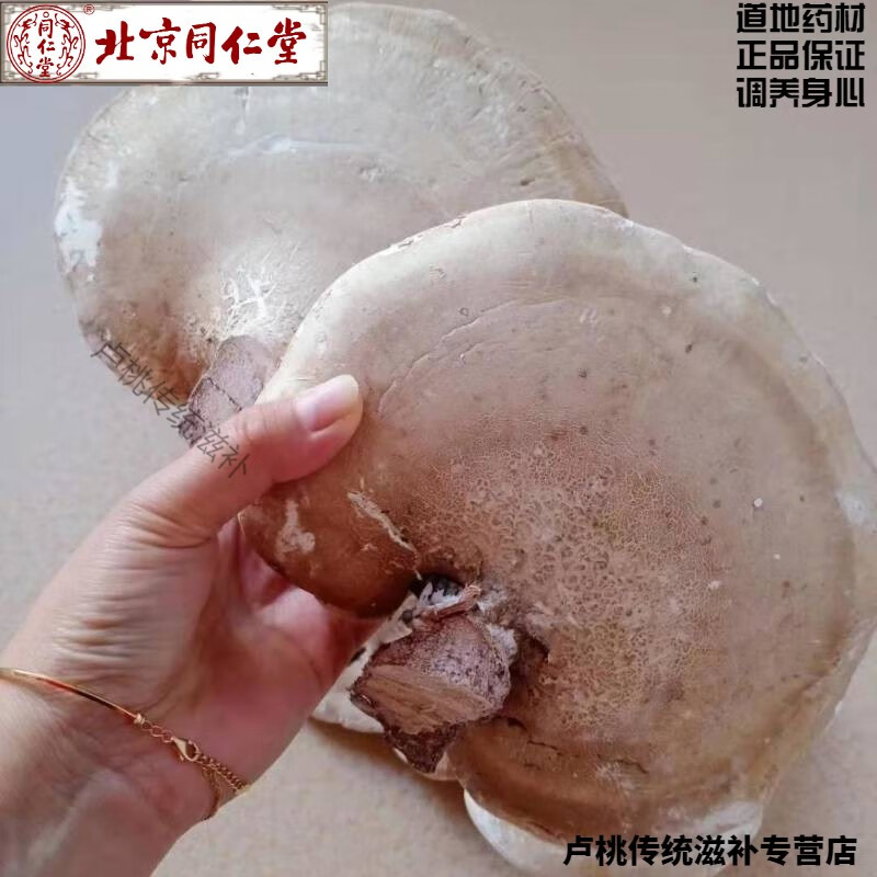 北京同仁堂白靈芝野生白靈芝白樺樹(shù)靈芝玉靈芝完整白色靈芝樺剝管菌 白靈芝半斤（一個(gè)半斤左右的）