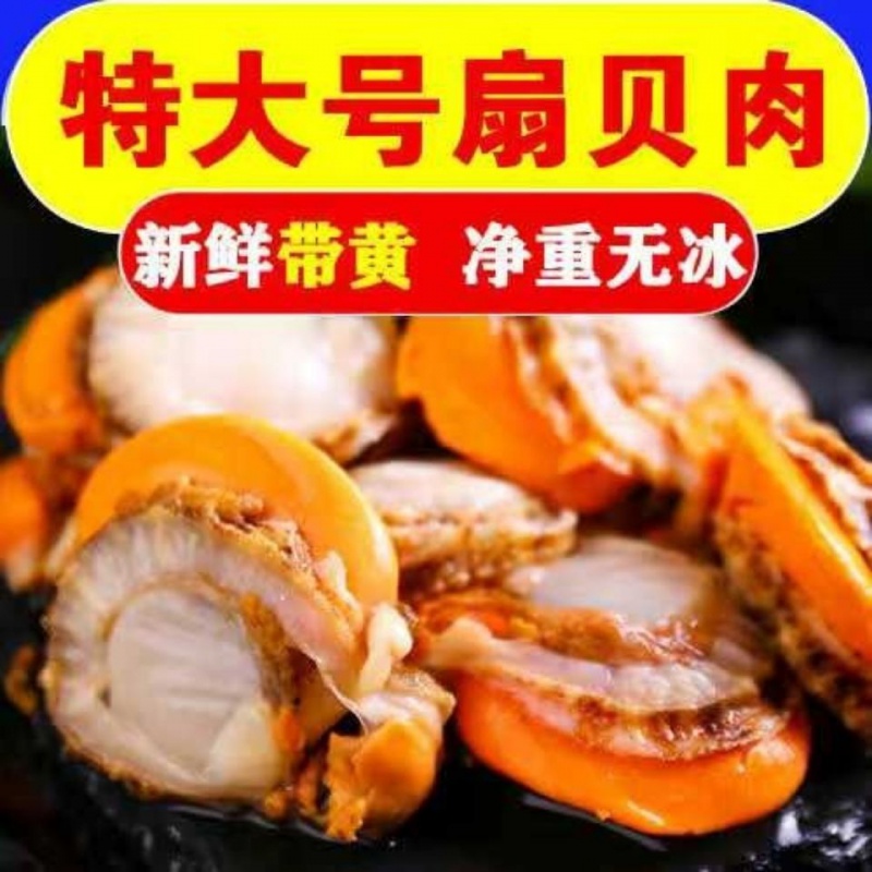 无冰特大号扇贝肉北城红贝海捕新鲜冷冻海鲜水产 10带装超值装