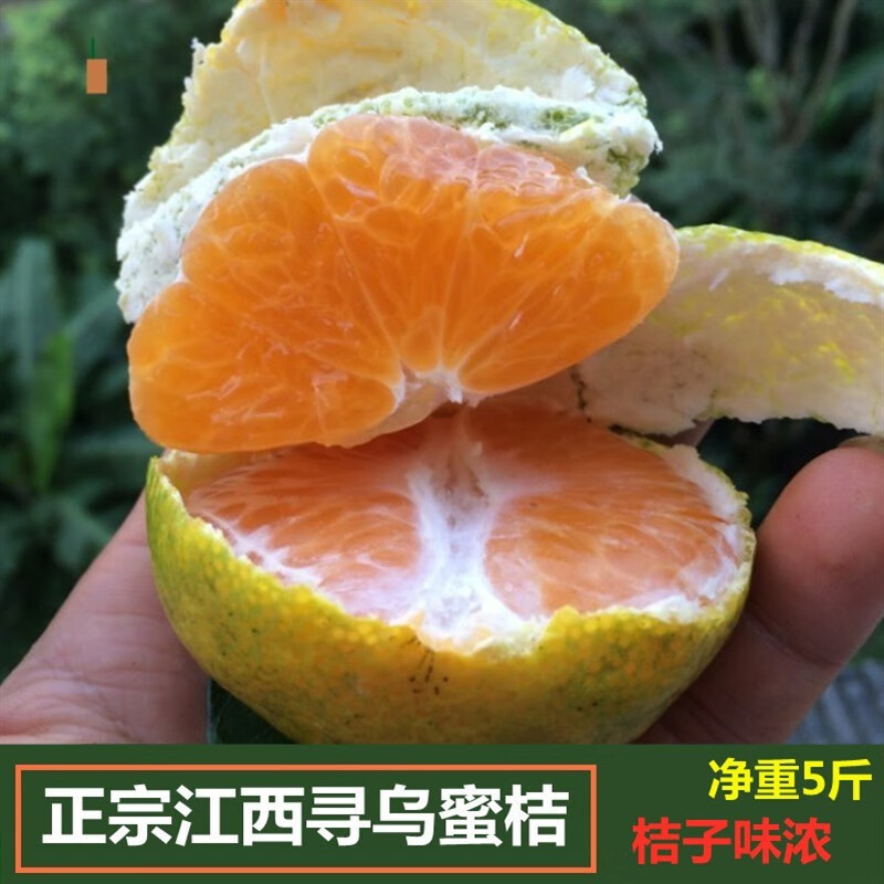 江西赣南10斤装当季特早熟青皮蜜橘孕妇新鲜水果酸甜橘子 5斤 小果