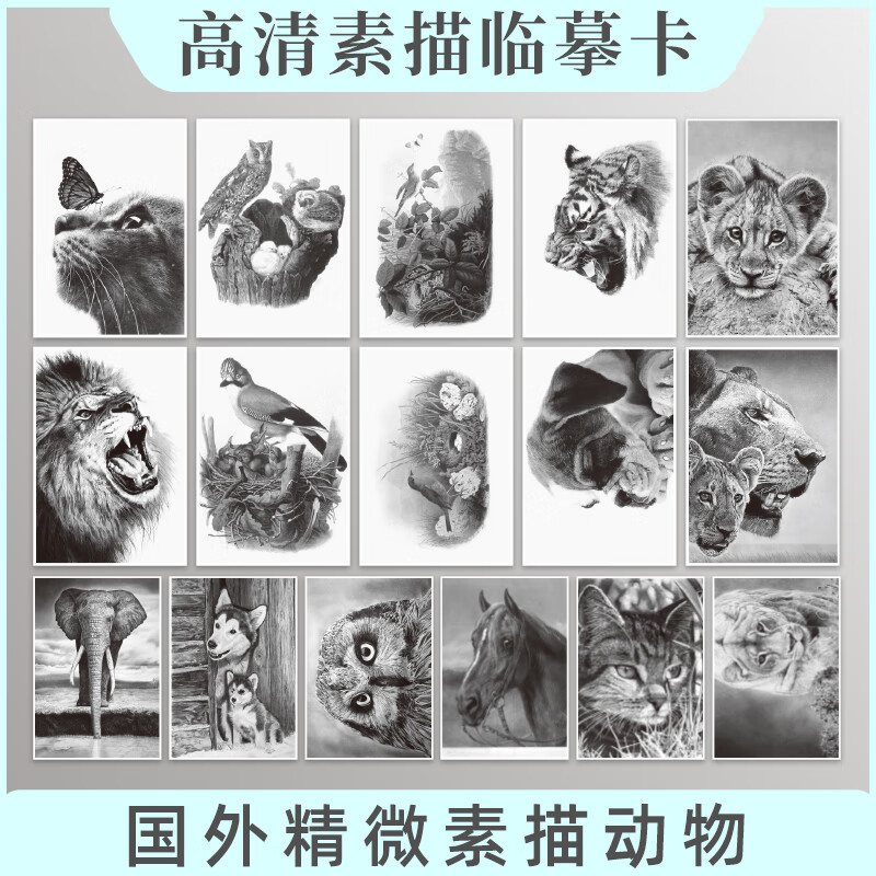 国外精微素描动物绘画临摹卡片明信片大尺寸高清图画册集手绘插画复古
