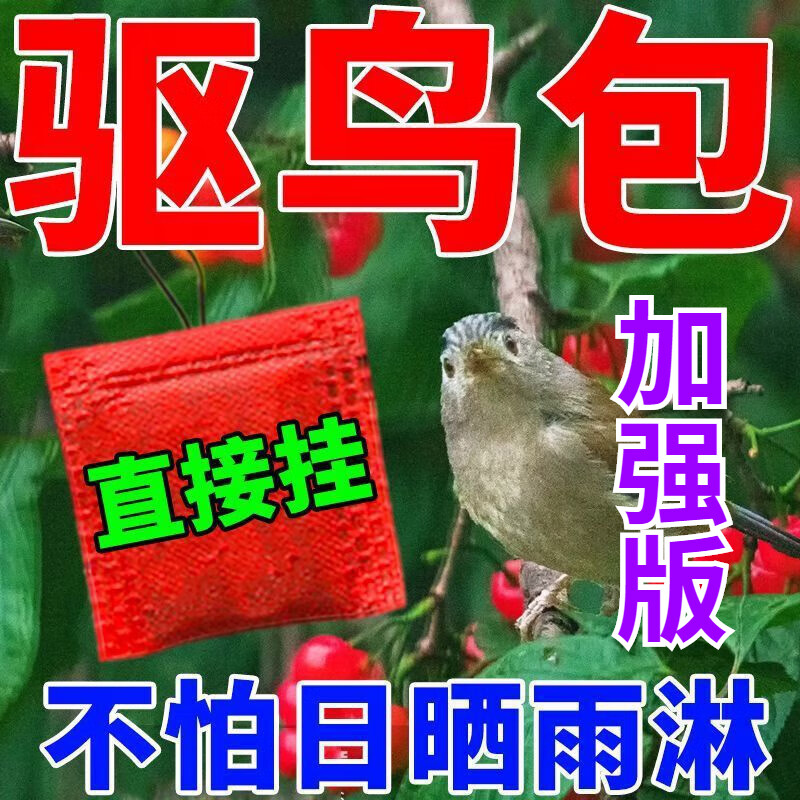 fb·z扁毛霜鸟苗药面水粉扁毛霜原粉1 1广东灵霸驱i鸟剂旗店官方 1大