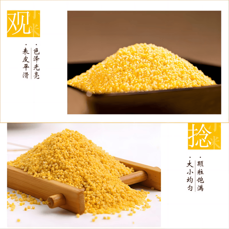 禾澹沁州黄小米2000g粮食大礼包礼盒装健康送礼公司春节团购