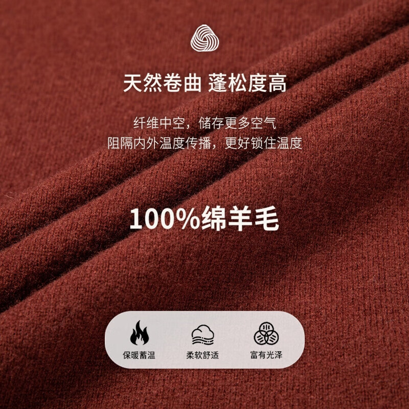SHANSHAN杉杉加厚款100%纯羊毛衫男半高领秋冬新款毛衣男装针织打底衫 花紫红【全羊毛 柔软亲肤】 XL (180/96A)