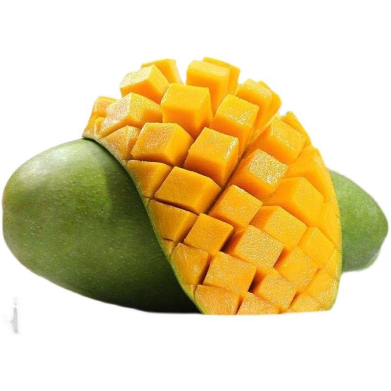 颜小荭 越南大青芒 大芒果约400g起  青皮芒 可生吃当季热带时令水果 严选4.5-5斤大果