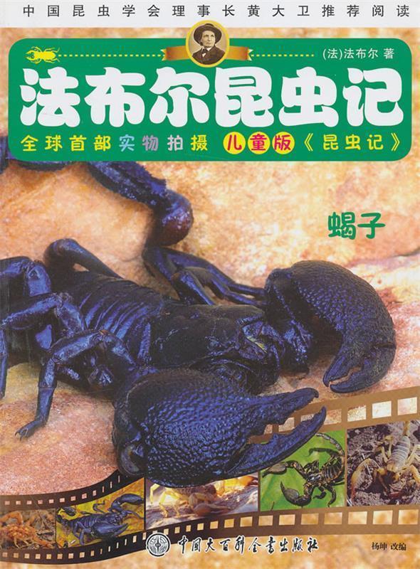 法布尔昆虫记--蝎子【正版好书,下单速发】