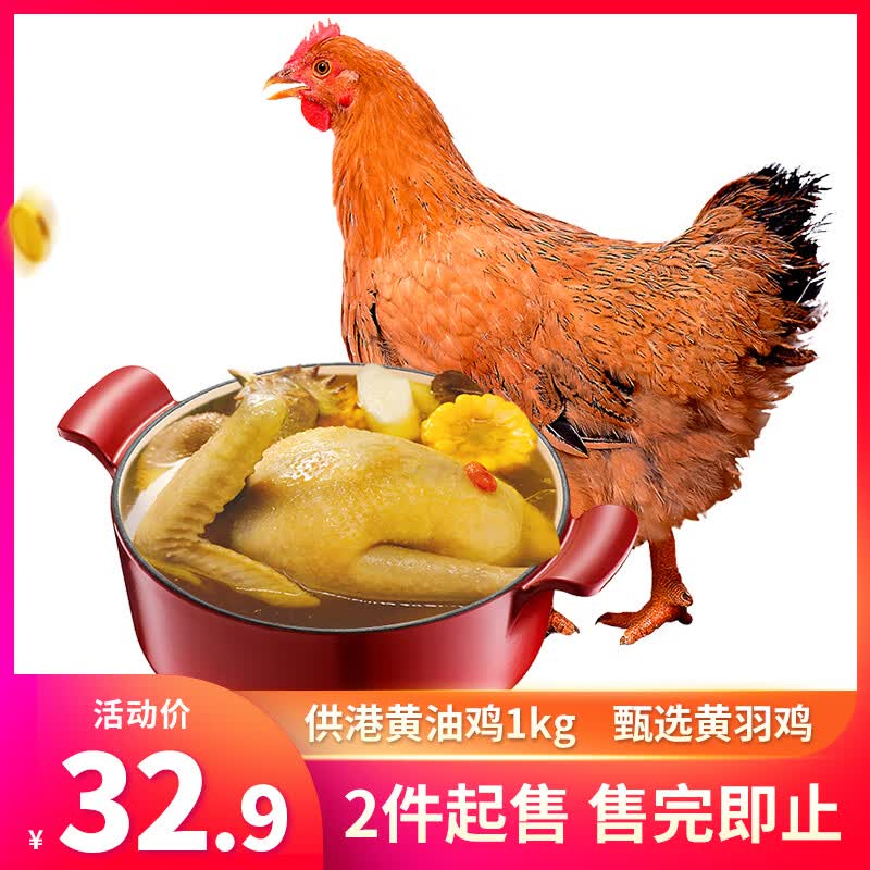 温氏 供港黄油鸡1kg 冷冻 黄油母鸡农家土鸡整鸡 散养 鸡肉高性价比高么？