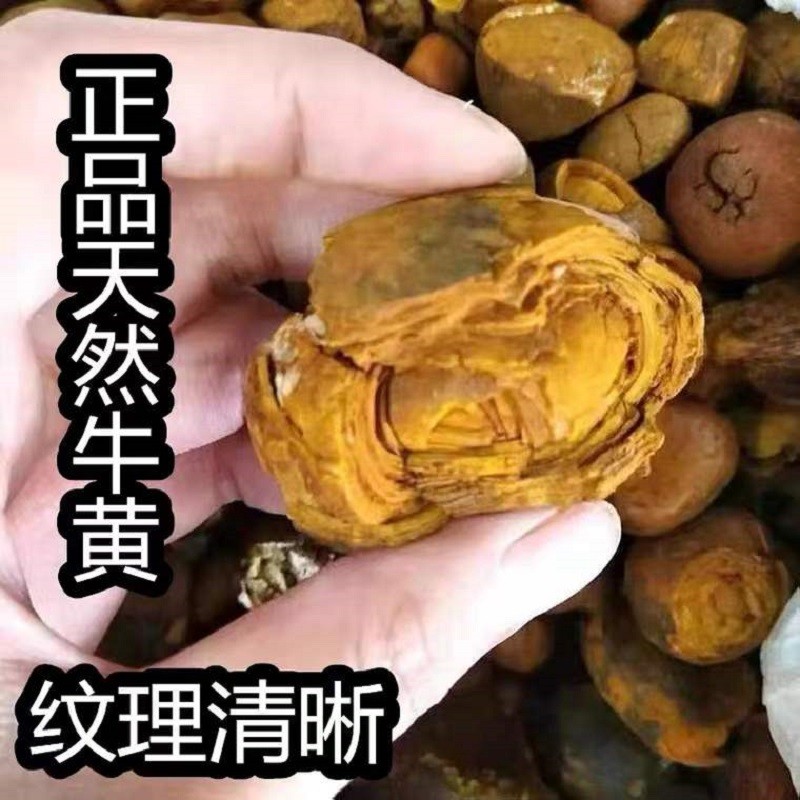 情川堂 牛黄中药材 天然牛黄 精品牛胆黄 牛结石 丑宝 西黄1克