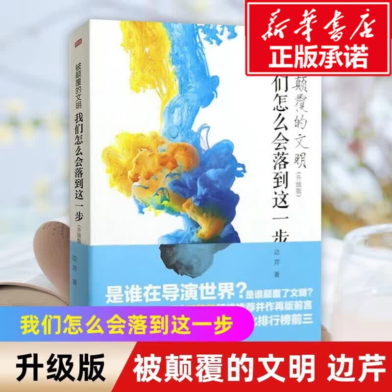 被颠覆的文明 我们怎么会落到这一步 升级版 边芹 东方出版社
