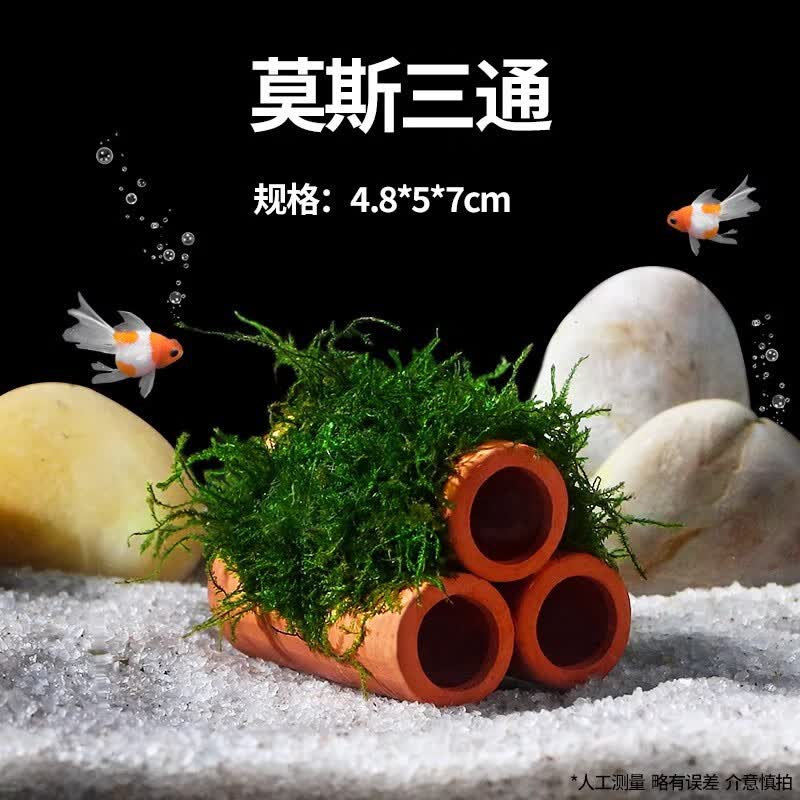CRAZY PLANT鱼缸造景躲避屋陶瓷罐鱼缸摆件套餐莫斯水草懒人装饰小鱼虾躲避罐 （红色）莫斯三通使用感如何?
