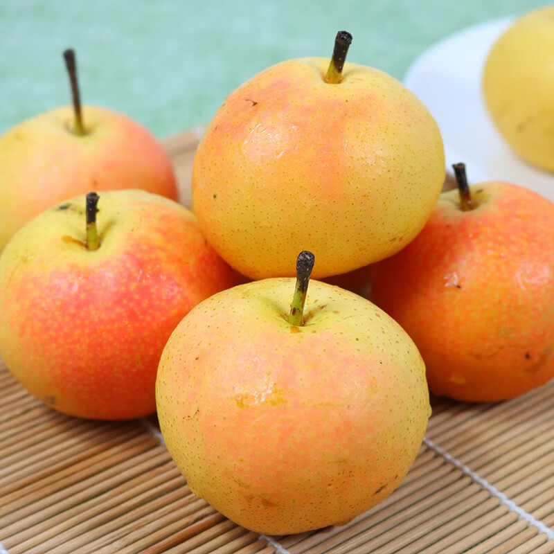 赐珍坊辽宁南果梨 东北特产香水梨 应季新鲜水果礼盒 5斤普果约30枚