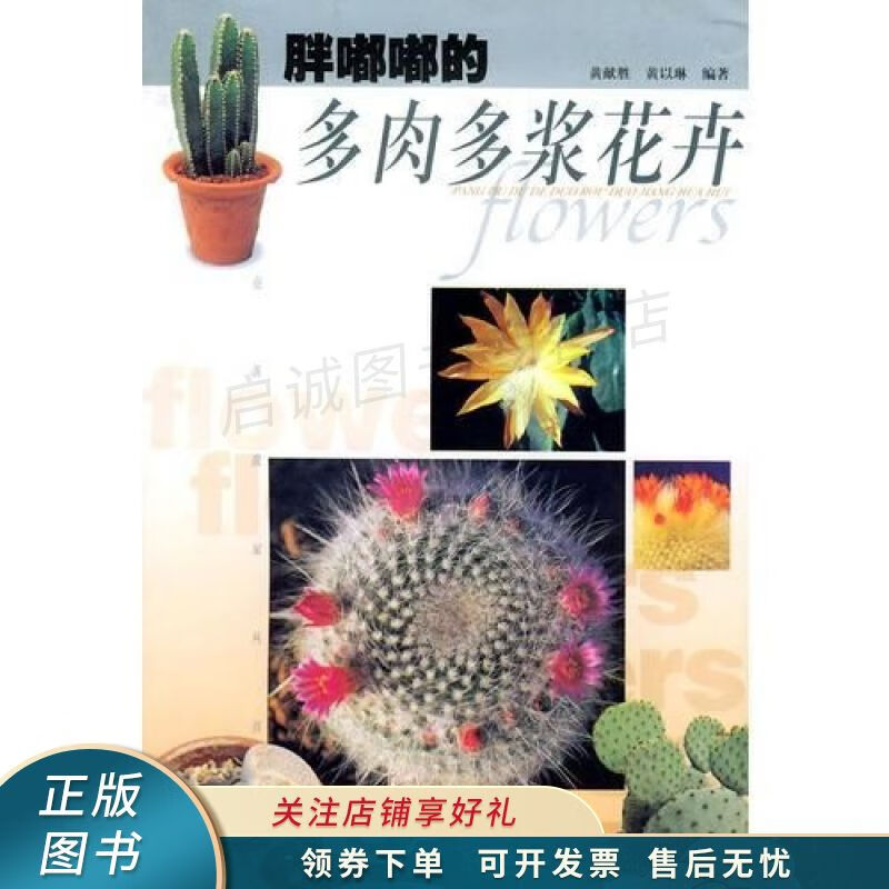 胖嘟嘟多肉多浆花卉