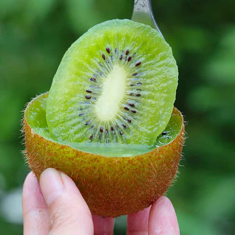 京鲜生 陕西徐香猕猴桃 18枚 单果60-70g 新鲜水果 源头直发 包邮