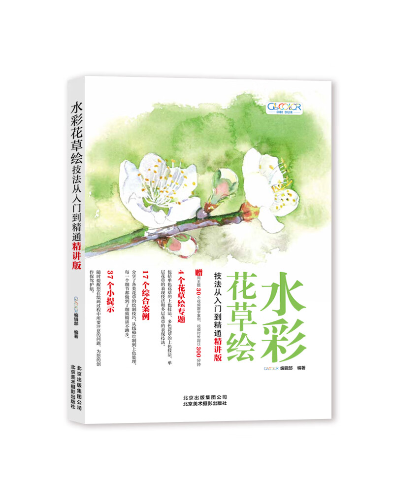 水彩花草绘技法从入门到精通（精讲版）