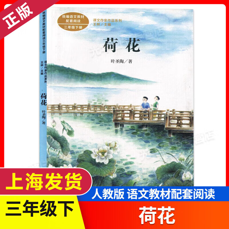 课文作家作品系列三年级下册 荷花 人民教育出版社 小学语文教材配套