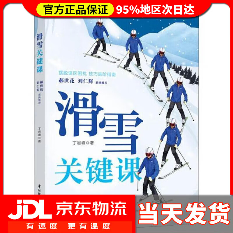 【送货上门】滑雪关键课 丁岩峰 中国轻工业出版社有限公司 9787518438525
