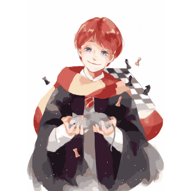 diy油画 卡通人物数字油画手绘填充哈利波特周边油彩画涂色装饰 2 273