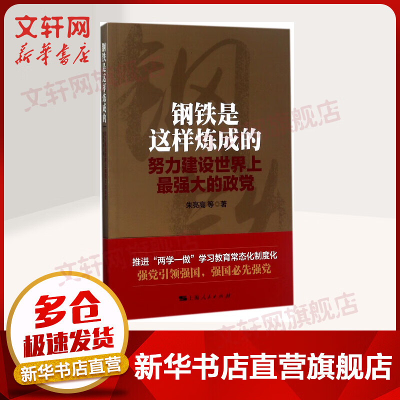 钢铁是这样炼成的:努力建设世界上最强大的政党