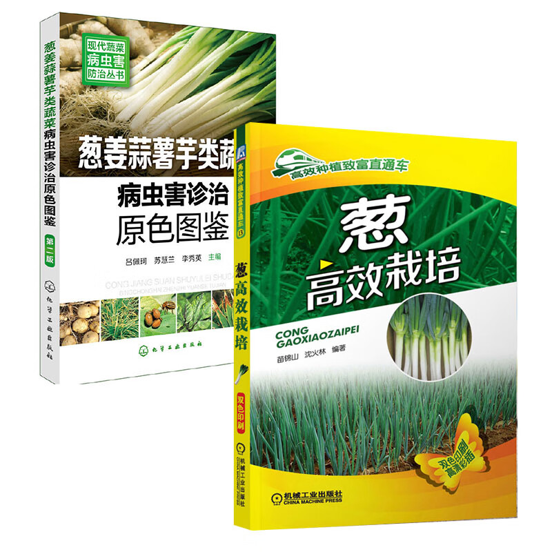 全2册】葱姜蒜薯芋类蔬菜病虫害诊治 葱高效栽培 栽葱技术书 蔬菜病虫