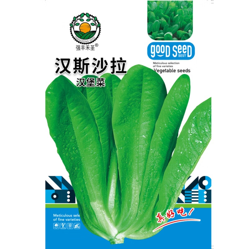 强丰禾圣汉斯沙拉汉堡生菜(包装袋13x19厘米)每包约2000粒 汉斯沙拉1