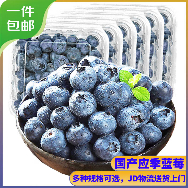 京丰味蓝莓 新鲜时令国产蓝莓水果 125g/盒 精选中大果 果径约14mm以下4盒