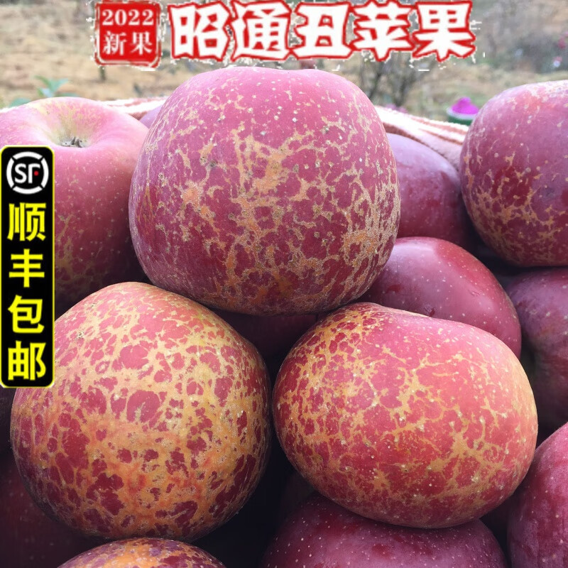 查看苹果历史价格的App|苹果价格走势