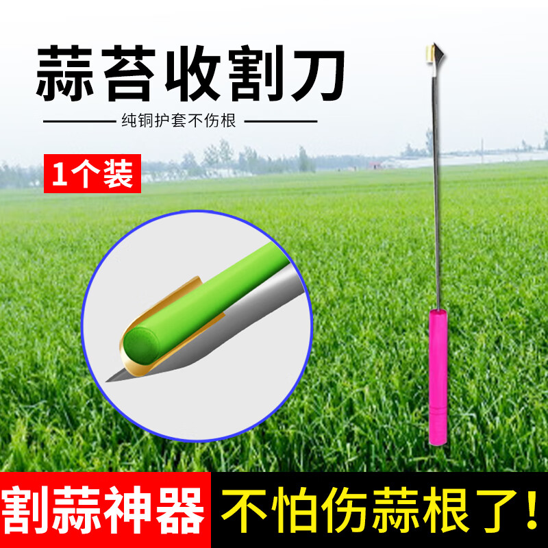 燚陇秉抽蒜苔神器蒜薹收割抽蒜器拔剥提打蒜苔划蒜苗 普通蒜苔1把