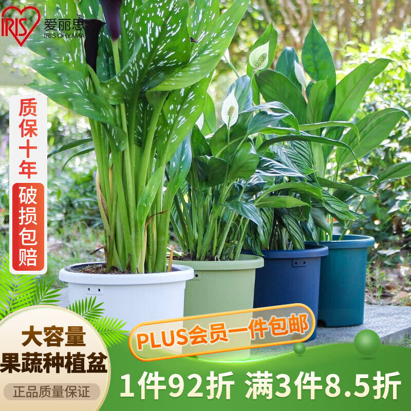 爱丽思（IRIS）Deepot加厚树脂花盆圆口塑料绿萝绣球月季铁线莲花 10号浅绿色属于什么档次？