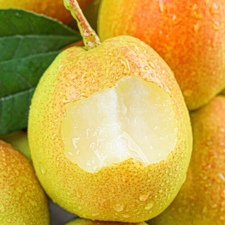 解忧娘娘正宗新疆库尔勒香梨酥脆甜梨子新鲜水果应季时令果蔬节日送礼整箱 特级 5斤单果120g+礼盒