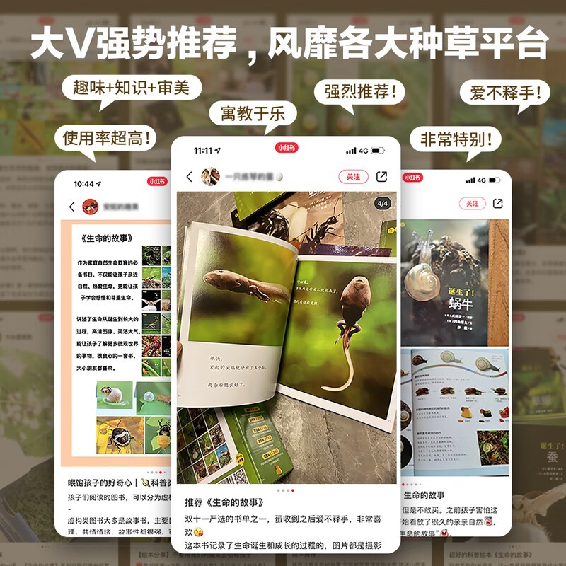 生命的故事 第2辑10册 高清实拍昆虫动物世界 蚕 蝉 蟋蟀 蜗牛 蚱蜢 自然生命简史历程百科绘本 3-6岁儿童科普图书《人民日报》推荐 生命的故事 第2辑10册