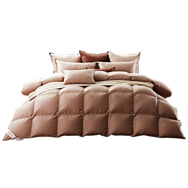 ˹ŵ100֧н95%׶޶ 720g150x210cm2089.28Ԫ
