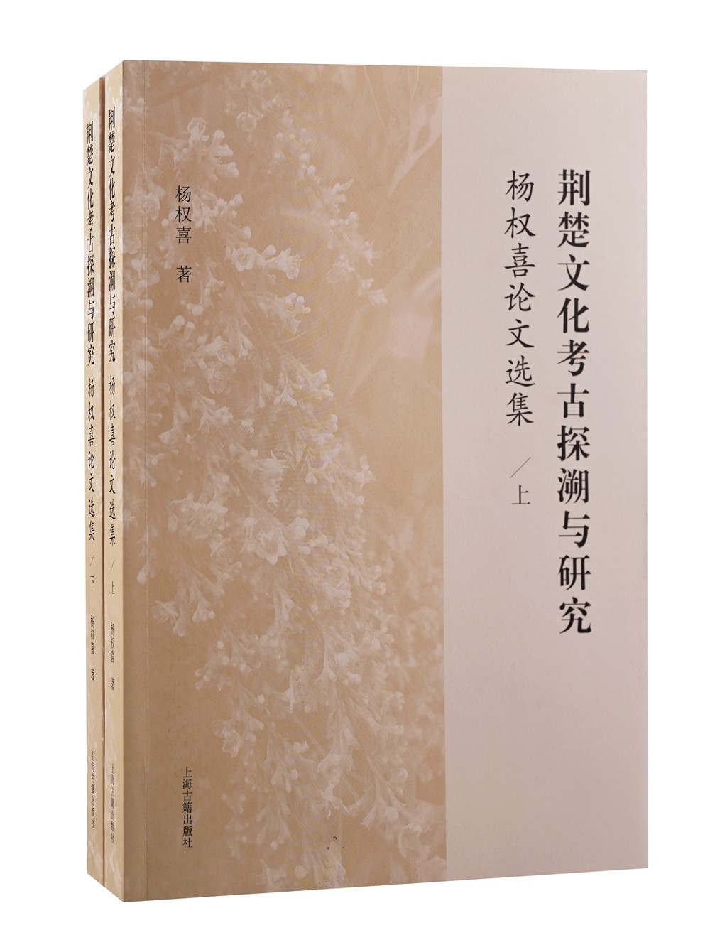 荆楚文化考古探溯与研究：杨权喜论文选集（套装上下册）