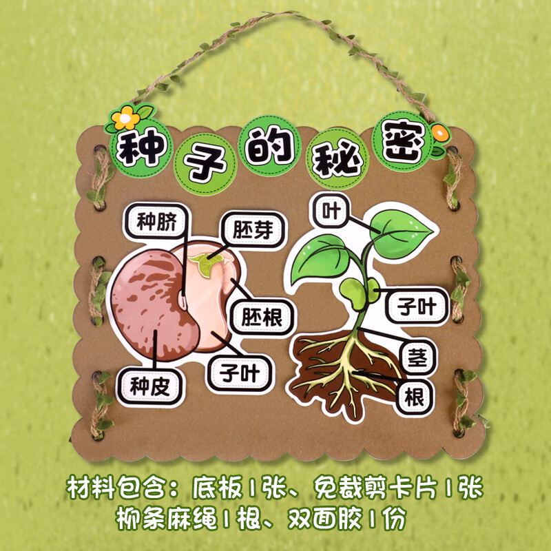 幼儿园环境创设教室布置种子的秘密中大班科学区植物角种植自制手 a款