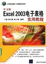 中文版Excel2003电子表格实用教程