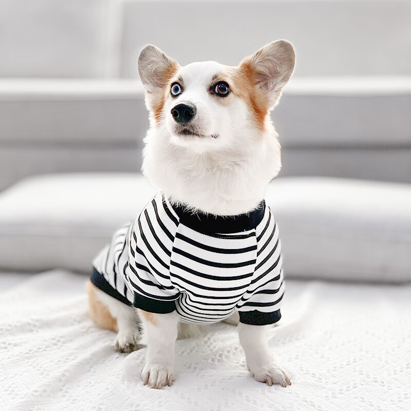 (柯基春夏专版)黑白条纹 xs建议体重3-9斤