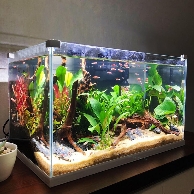 森森(sunsun) 鱼缸水族箱生态超白玻璃缸桌面水草缸客厅造景金鱼缸