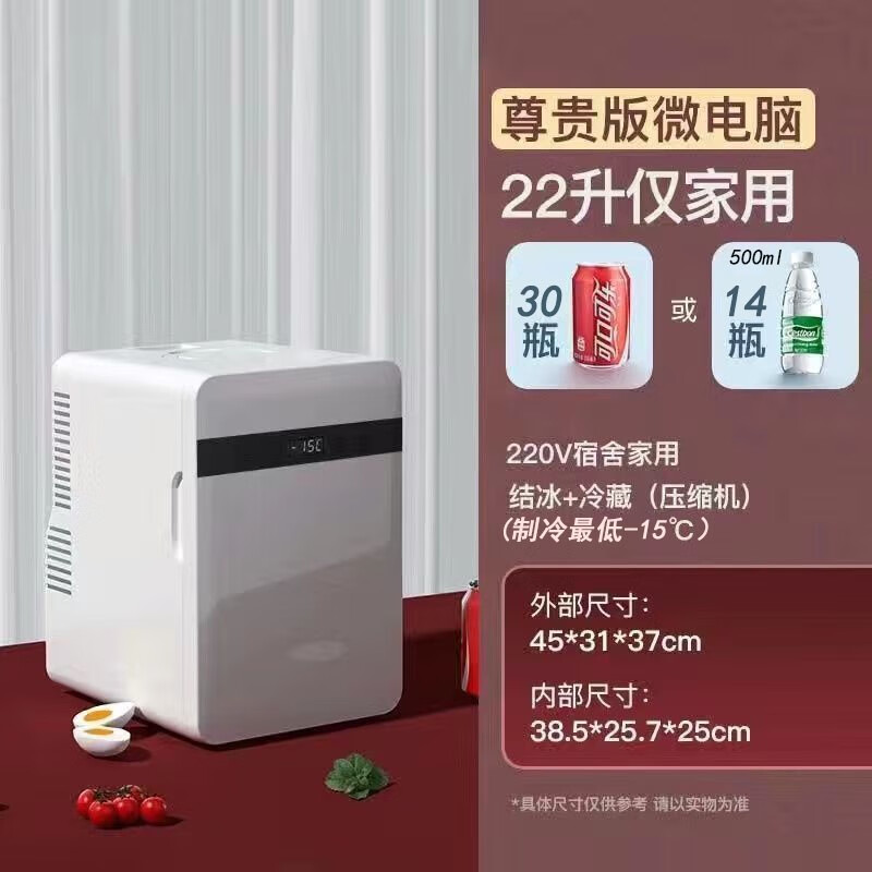 华柯尼迷你小冰箱小型家用租房宿舍药品车载冰箱学生冷藏冷冻一人 新款强冷双核冷藏 车家两用 20升
