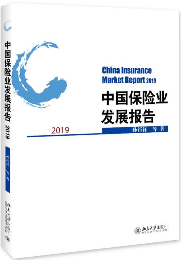 中国保险业发展报告 2019
