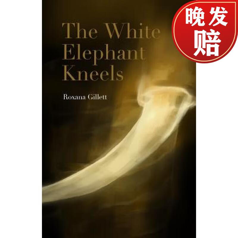 【4周达】the white elephant kneels