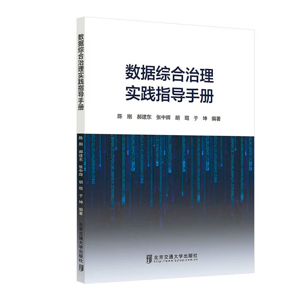 数据综合治理实践指导手册详情图