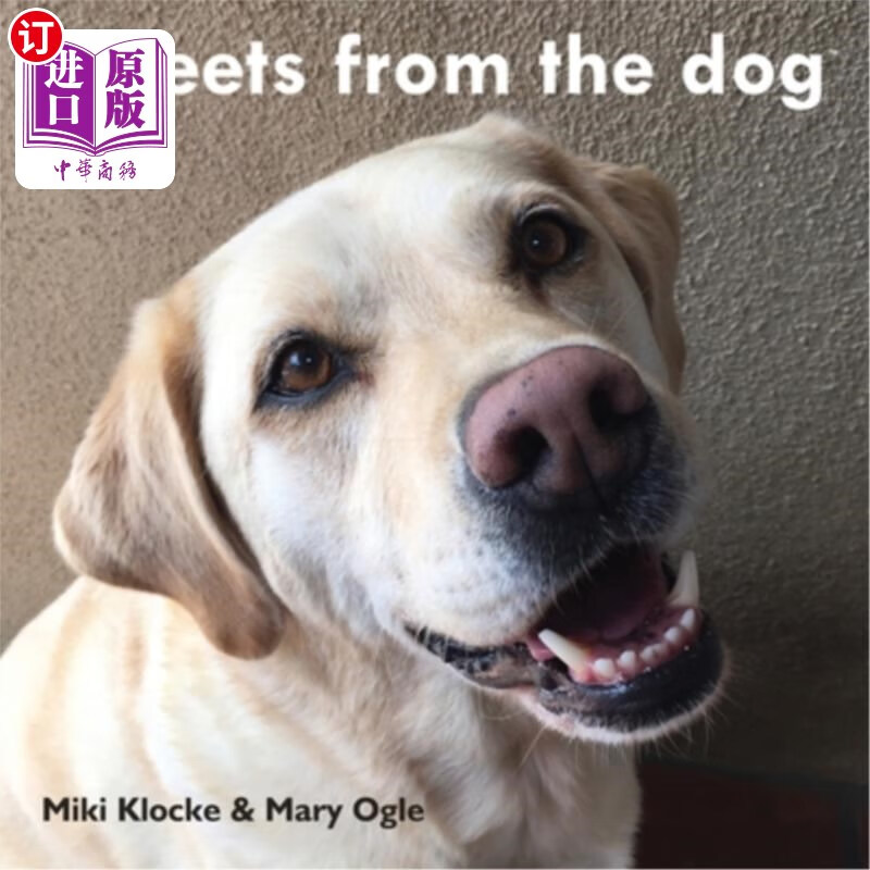 海外直订tweets from the dog 狗发出的推文