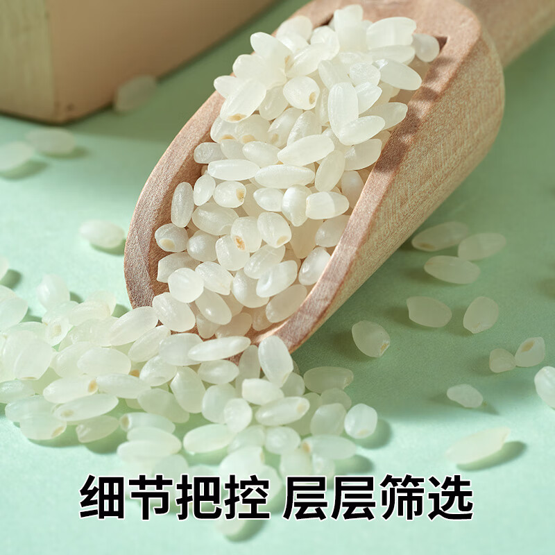 荆楚大地 臻选寒地珍珠米5Kg  圆粒大米 当季新米（非真空包装）