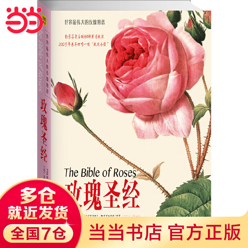 玫瑰圣经