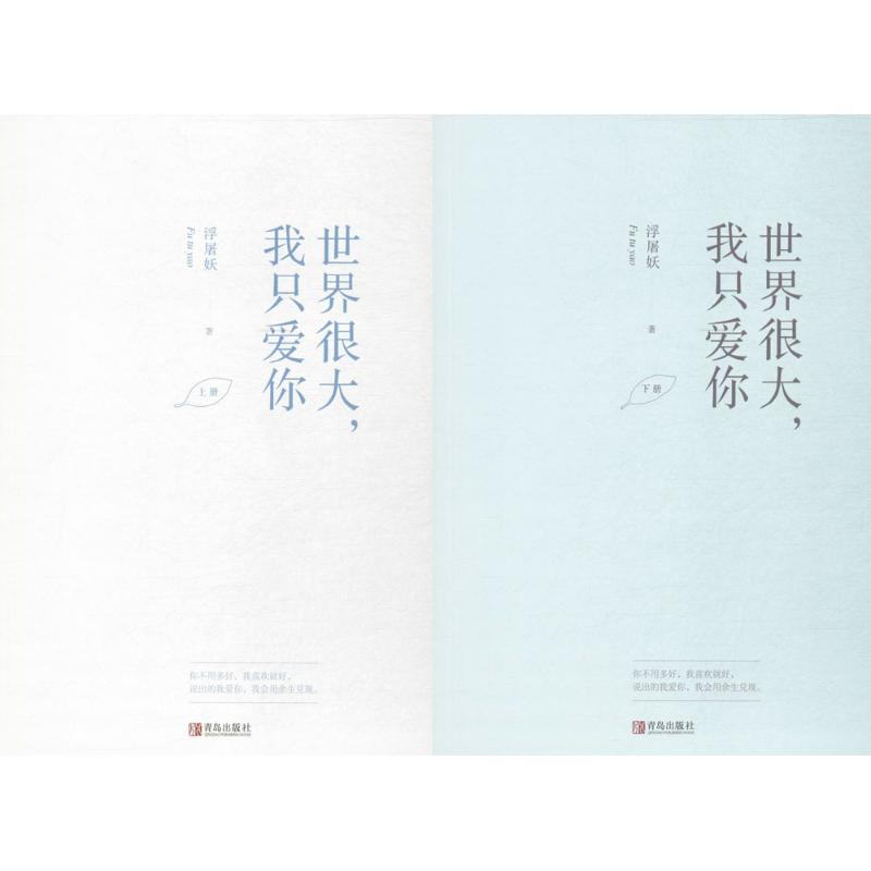 世界很大，我只爱你