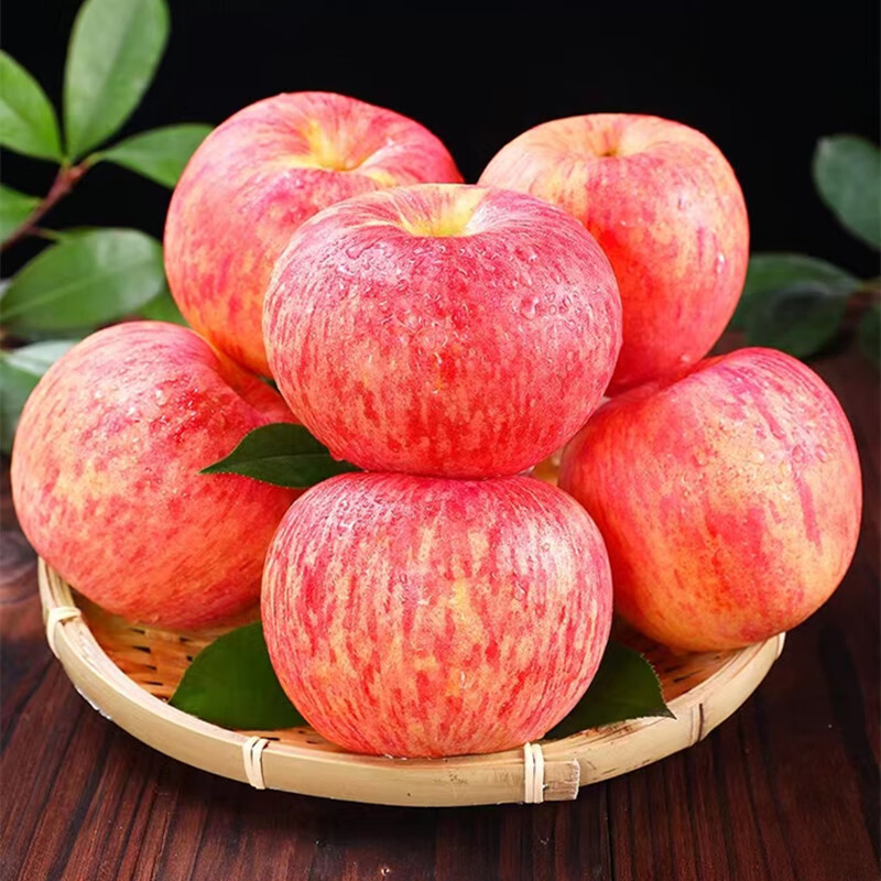 陕西洛川新鲜红富士苹果现摘脆甜水果冰糖心 净重8.5-9大果普通装（单果80mm+）