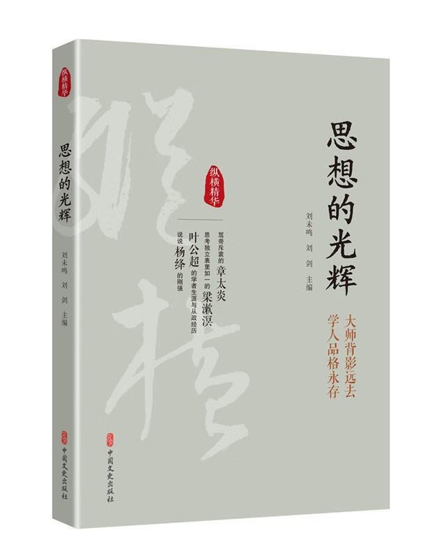思想的光辉(纵横精华·辑)
