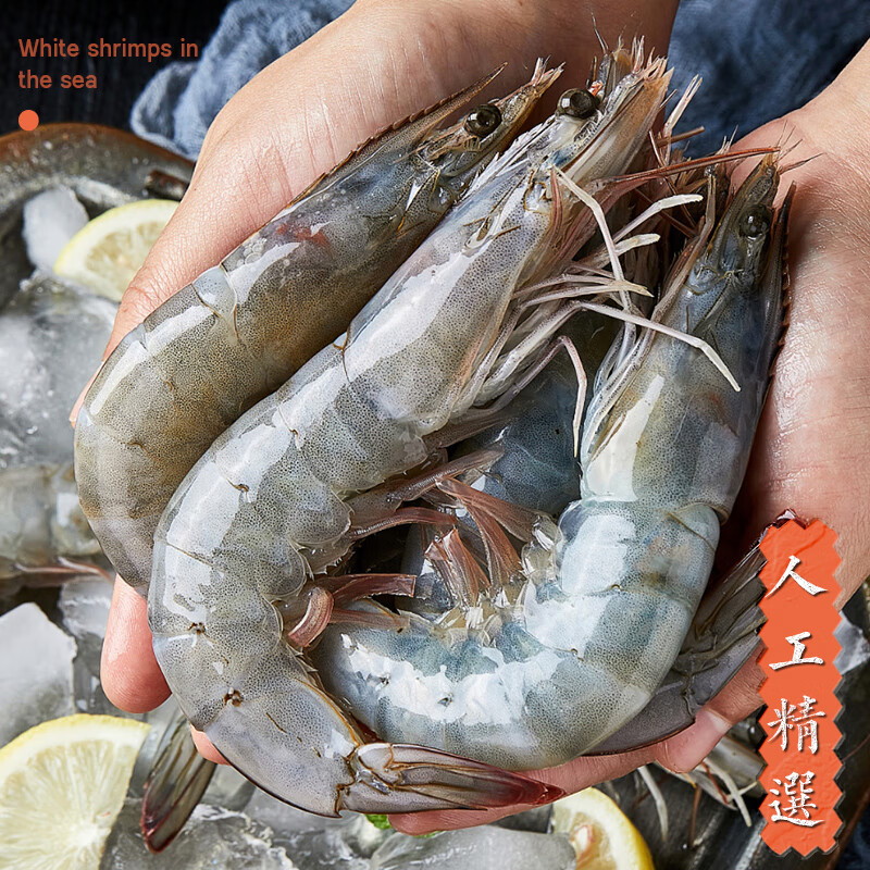 速鲜虾新鲜大虾盐冻鲜活超大青鲜虾海虾基围虾白虾净重 3040虾净重1斤(3份默认发一盒)