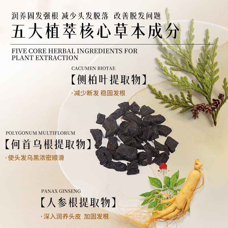 黛青丝防脱洗发水胖东来官方生姜育发洗发露增长头发旗舰控油去屑固发店 【育发护发】2洗发水+1护发素