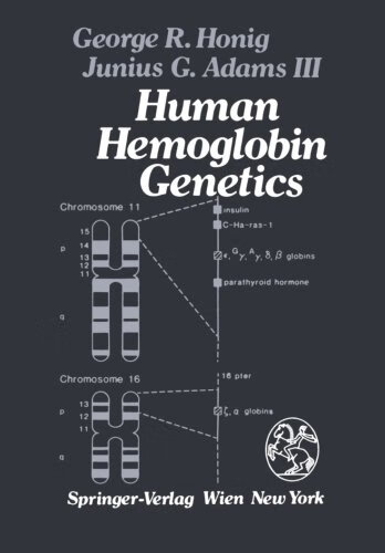 预订 human hemoglobin genetics