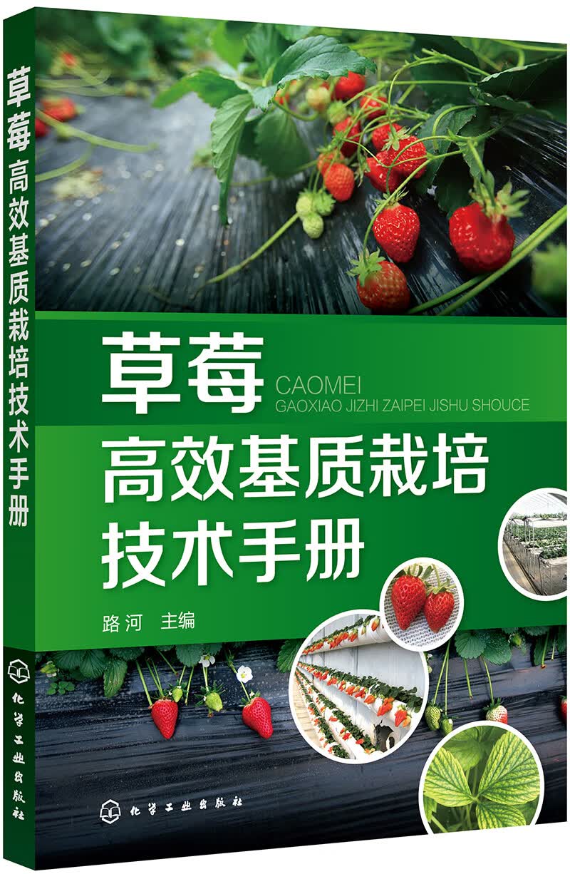 草莓高效基质栽培技术手册（现代化无土高效益栽培草莓）