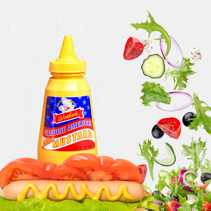 韦贝尔（woeber’s）美国进口 美式 黄芥末酱 255g/瓶 低脂 沙拉汉堡酱